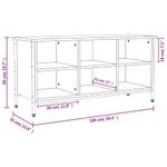 Casa si Gradina - Mobilier - Organizare si depozitare - Organizator incaltaminte - Pantofar, gri sonoma, 100x35x50 cm, lemn prelucrat - Infinity.ro