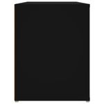 Casa si Gradina - Mobilier - Organizare si depozitare - Organizator incaltaminte - Suport pantofi, negru, 100x35x45 cm, lemn prelucrat - Infinity.ro