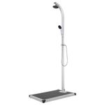 Casa si Gradina - Gradina si terasa - Piscine si accesorii - Accesorii piscine - Dus de gradina cu baza gri, 220 cm, aluminiu - Infinity.ro