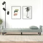 Casa si Gradina - Mobilier - Canapele si coltare - Canapele - Canapea extensibila cu cotiere, gri deschis, catifea - Infinity.ro