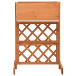 Casa si Gradina - Gradinarit si plante - Plante si ghivece - Ghivece si suporturi - Jardiniera cu spalier, portocaliu, 45x30x74 cm, lemn masiv brad - Infinity.ro