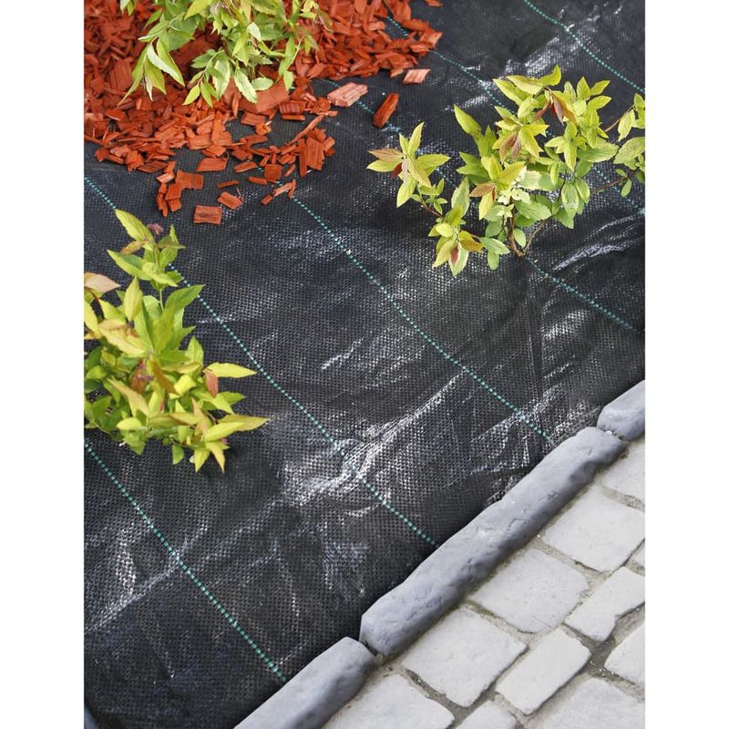 Casa si Gradina - Gradinarit si plante - Sere si solarii - Nature Folie antiburuieni pentru sol, negru, 2x10 m - Infinity.ro
