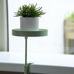 Casa si Gradina - Bucatarie si vesela - Ustensile bucatarie - Tavi servire - Esschert Design Tava pentru plante cu clema, verde, rotund, S - Infinity.ro