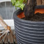 Casa si Gradina - Gradinarit si plante - Plante si ghivece - Ghivece si suporturi - Capi Vas de plante Nature Row elegant, antracit, 36x47 cm, mic KRWZ782 - Infinity.ro