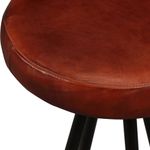 Casa si Gradina - Mobilier - Seturi de mobilier - Seturi bucatarie - Set mobilier bar, 5 piese, lemn masiv acacia si piele naturala - Infinity.ro