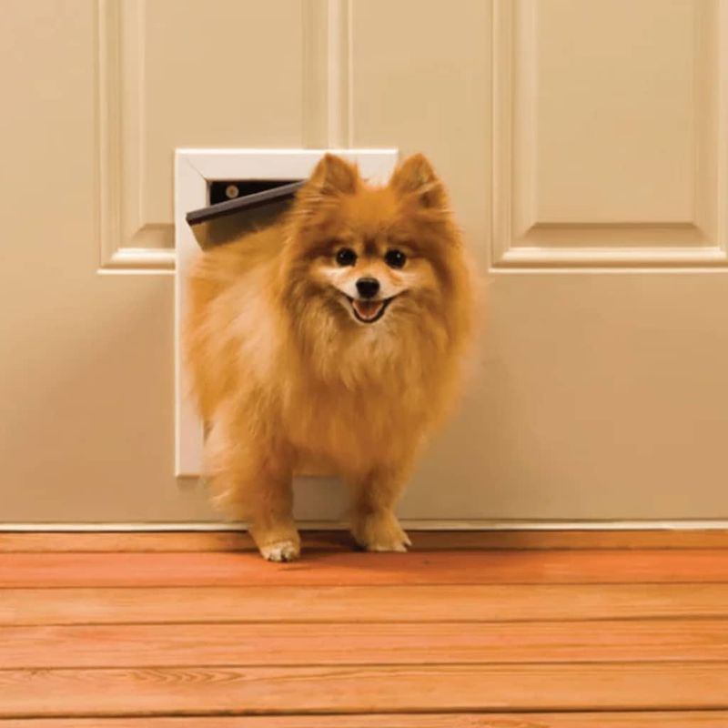 Petshop - Accesorii petshop - Culcusuri si custi - Usi animale - PetSafe Clapeta acces 600, animale companie <7 kg, Aluminiu, 5013 - Infinity.ro