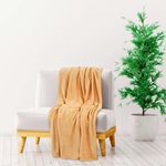 Casa si Gradina - Textile si covoare - Pături și cuverturi - Pături - Patura, desert mist, 130x170 cm, poliester - Infinity.ro