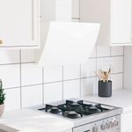 Electronice si Electrocasnice - Aragazuri, cuptoare si hote - Hote - Hote traditionale - Hota de perete, alb, 60 cm, otel și sticla securizata, mărime 60x31x108 cm - Infinity.ro