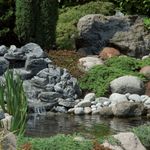 Casa si Gradina - Gradina si terasa - Decoratiuni exterior - Ornamente gradina - Ubbink Set filtru de iaz "FiltraPure , 37 L, 1355969 - Infinity.ro