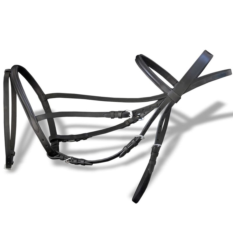 Sport si Outdoor - Accesorii si echipamente sportive - Echitatie - Capastru cu frau pentru cal cob, negru - Infinity.ro