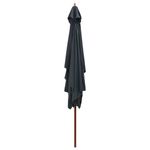 Casa si Gradina - Gradina si terasa - Umbrele si pavilioane - Umbrele - Umbrela de soare cu stalp de lemn , stalp lemn, 200x300 cm, antracit - Infinity.ro