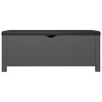 Casa si Gradina - Mobilier - Organizare si depozitare - Cutii depozitare - Cutie de depozitare cu perna, gri, 105x40x45cm, lemn prelucrat - Infinity.ro