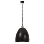 Casa si Gradina - Corpuri si surse de iluminat - Lustre si pendule - Lampa suspendata industriala , negru, 42 cm, rotund, 25 W, E27 - Infinity.ro