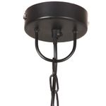 Casa si Gradina - Corpuri si surse de iluminat - Lustre si pendule - Lampa suspendata industriala , negru, 42 cm, rotund, 25 W, E27 - Infinity.ro