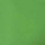 Casa si Gradina - Mobilier - Scaune si fotolii - Scaune - Scaun de gaming de masaj, negru si verde, piele ecologica - Infinity.ro