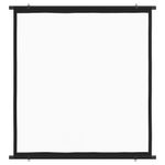 TV, Audio-Video si Foto - Videoproiectoare si accesorii - Ecrane proiectie - Ecran de proiectie 63" 1: 1 - Infinity.ro