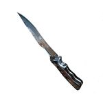 Sport si Outdoor - Camping - Cutite, bricege si accesorii - Cutite si bricege - Cutit de vanatoare, Wild Steer, IdeallStore®, 31 cm, Husa inclusa - Infinity.ro