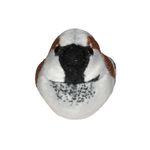 Jucarii, Copii si Bebe - Jucarii si jocuri - Jucarii de plus - Pasare cu sunet Vrabiuta - HOUSE SPARROW - Infinity.ro