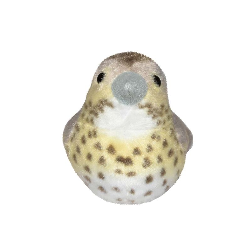 Jucarii, Copii si Bebe - Jucarii si jocuri - Jucarii de plus - Pasare cu sunet Sturz cantator - SONG THRUSH - Infinity.ro