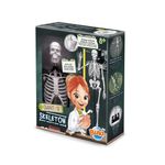 Jucarii, Copii si Bebe - Jucarii si jocuri - Jucarii & jocuri educative - Jocuri si jucarii educative - Schelet Gigant 45 cm - Infinity.ro