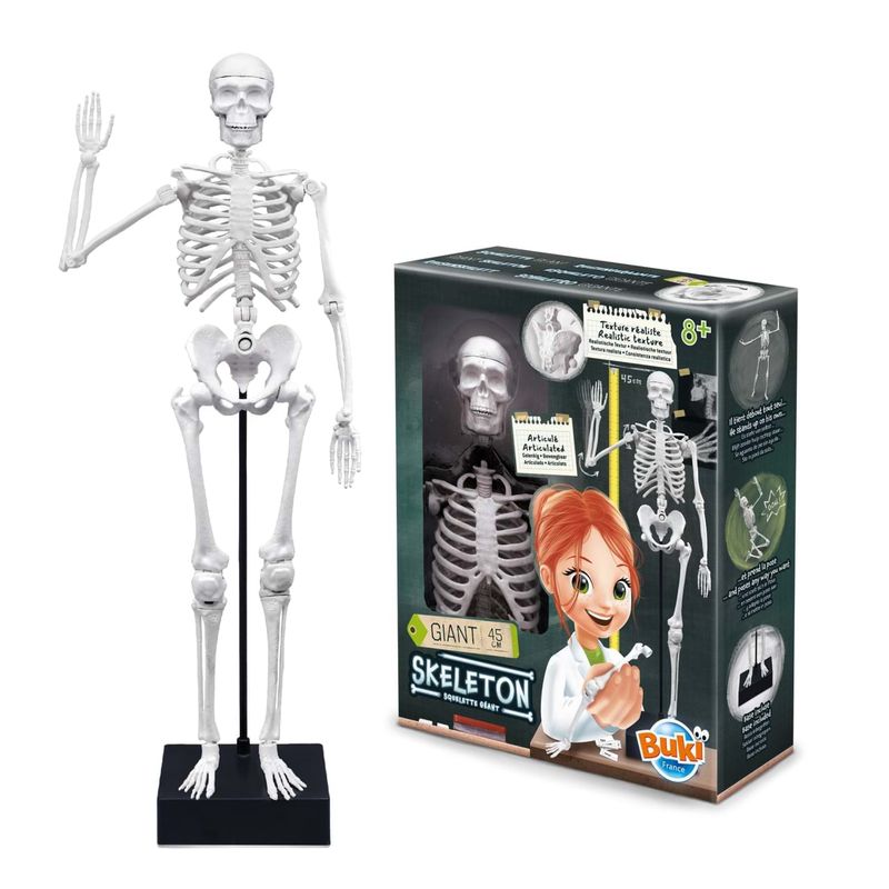 Jucarii, Copii si Bebe - Jucarii si jocuri - Jucarii & jocuri educative - Jocuri si jucarii educative - Schelet Gigant 45 cm - Infinity.ro