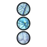 Jucarii, Copii si Bebe - Jucarii si jocuri - Jucarii & jocuri educative - Jocuri si jucarii educative - Microscop - 15 experimente NEW - Infinity.ro