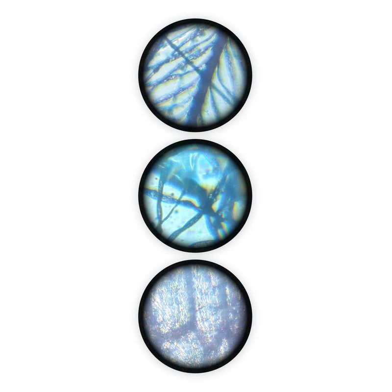 Jucarii, Copii si Bebe - Jucarii si jocuri - Jucarii & jocuri educative - Jocuri si jucarii educative - Microscop - 15 experimente NEW - Infinity.ro