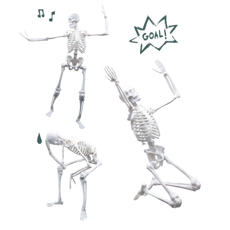 Jucarii, Copii si Bebe - Jucarii si jocuri - Jucarii & jocuri educative - Jocuri si jucarii educative - Schelet Gigant 45 cm - Infinity.ro