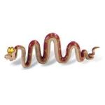 Jucarii, Copii si Bebe - Jucarii si jocuri - Figurine - Kaa - Infinity.ro