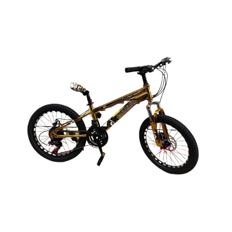 Sport si Outdoor - Ciclism - Biciclete pentru copii - Bicicleta Go Kart 20 inch Caraiman,pentru copii 7-10 ani , frana disc ,18 viteze, auriu - Infinity.ro