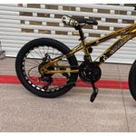 Sport si Outdoor - Ciclism - Biciclete pentru copii - Bicicleta Go Kart 20 inch Caraiman,pentru copii 7-10 ani , frana disc ,18 viteze, auriu - Infinity.ro