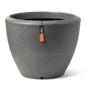 Capi Jardiniera plante joasa „Arc Granite”