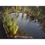 Casa si Gradina - Gradina si terasa - Garduri, panouri si accesorii - Ubbink Borduri de gradina, negru, 14cmx15m, 7mm - Infinity.ro