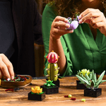 Jucarii, Copii si Bebe - Jucarii si jocuri - Seturi de constructie si cuburi - Seturi de constructie - Set contructie 3D, plante suculente 9 specii independente dar unificabile, 770 piese, multicolor - Infinity.ro