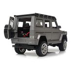 Jucarii, Copii si Bebe - Jucarii si jocuri - Vehicule si jucarii cu telecomanda - Masinute - Masina RC cu telecomanda, OFF-ROAD 1:24 4WD, RTR, 2,4 GHz,  gri - Infinity.ro