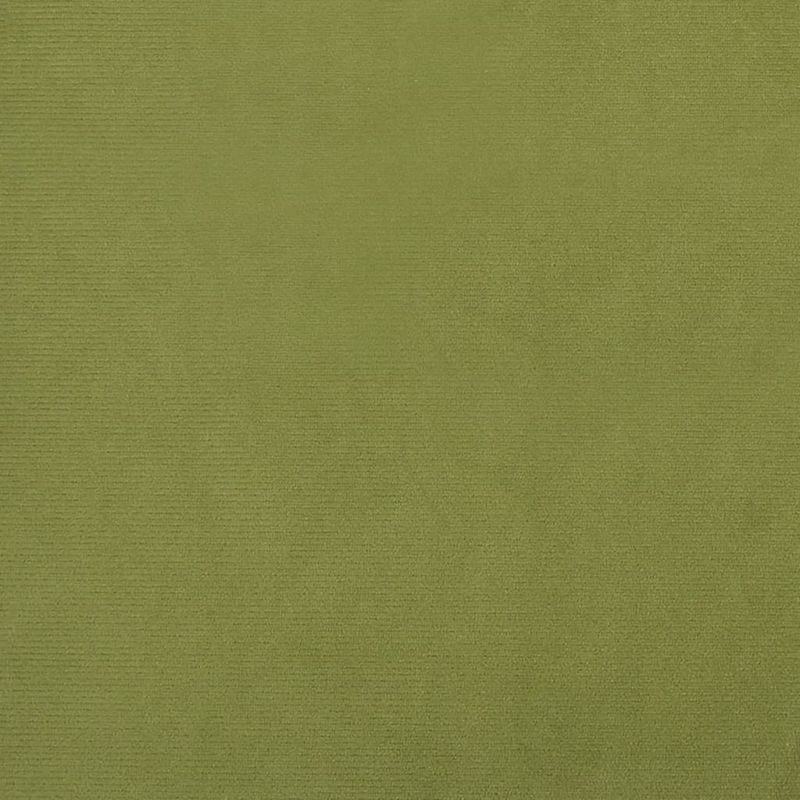 Casa si Gradina - Mobilier - Scaune si fotolii - Fotolii - Fotoliu de relaxare, verde deschis, catifea - Infinity.ro