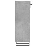 Casa si Gradina - Mobilier - Dulapuri si sifoniere - Dulapuri pantofi - Pantofar, gri beton, 30x35x105 cm, lemn compozit - Infinity.ro