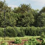 Casa si Gradina - Gradina si terasa - Garduri, panouri si accesorii - Gard plasa de sarma cu bordura, antracit, 2,2x25 m - Infinity.ro
