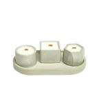 Casa si Gradina - Decoratiuni - Aromaterapie si lumanari - Lumanari si candele - Set 3 lumanari aromate cu farfurie decorativa, Chiffon Musk Green - Infinity.ro