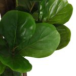 Casa si Gradina - Decoratiuni - Obiecte decorative - Plante artificiale - Smochin artificial cu frunze 96 de frunze 80 cm verde - Infinity.ro