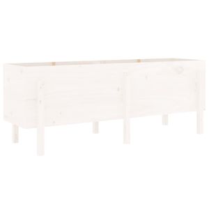 Casa si Gradina - Gradinarit si plante - Plante si ghivece - Infinity.ro