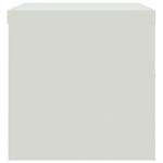 Casa si Gradina - Constructii - Depozitare, transport si protectie - Rafturi, fisete si vestiare - Fiset, gri deschis, 90x40x40 cm, otel - Infinity.ro