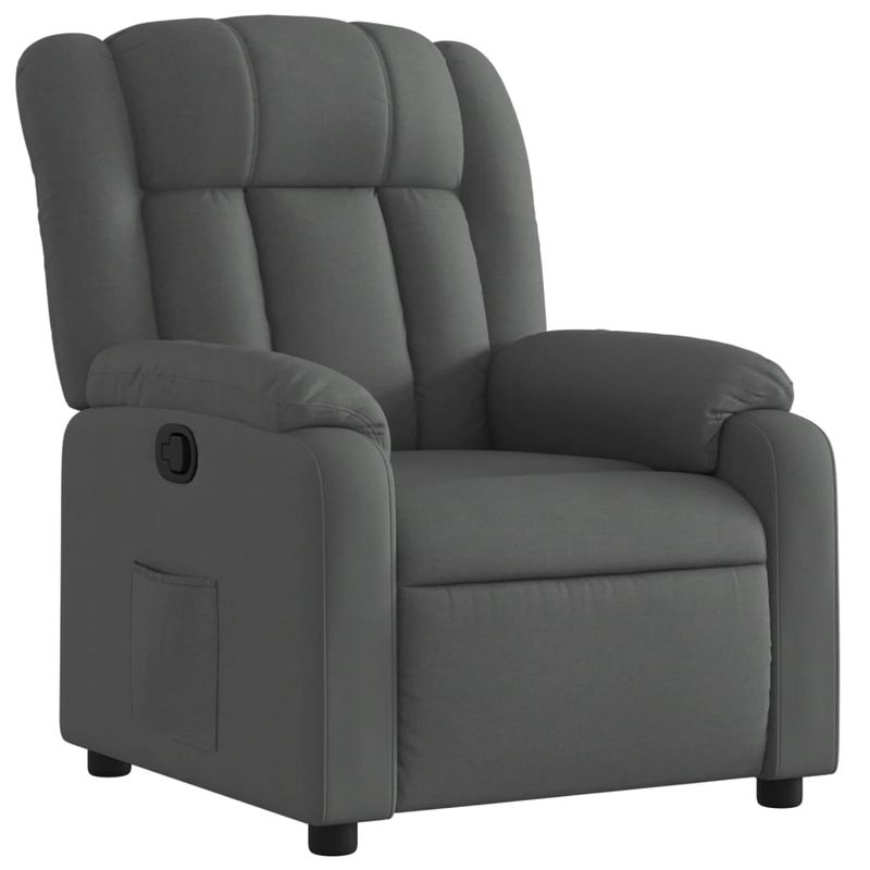 Casa si Gradina - Mobilier - Scaune si fotolii - Fotolii - Fotoliu rabatabil, gri inchis, material textil - Infinity.ro