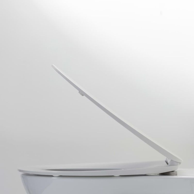 Casa si Gradina - Sanitare - Obiecte sanitare - Vase de toaleta - Tiger Capac de toaleta „Blade”, alb - Infinity.ro