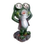 Casa si Gradina - Gradina si terasa - Mobilier exterior - Accesorii pentru gradina - Decoratiune gradina, polirasina, lampa solara, broasca, 14 x 12 x 25 cm - Infinity.ro