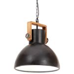 Casa si Gradina - Corpuri si surse de iluminat - Veioze si lampi - Lampi de veghe - Lampa suspendata industriala, negru, 40 cm, 25 W, rotund, E27 - Infinity.ro