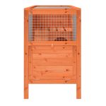 Petshop - Accesorii petshop - Culcusuri si custi - Custi interior si exterior - Cusca pentru iepuri maro 103x44x69,5 cm lemn masiv de pin - Infinity.ro