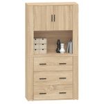 Casa si Gradina - Mobilier - Comode si corpuri - Corpuri bucatarie - Dulap inalt, stejar sonoma, lemn compozit - Infinity.ro