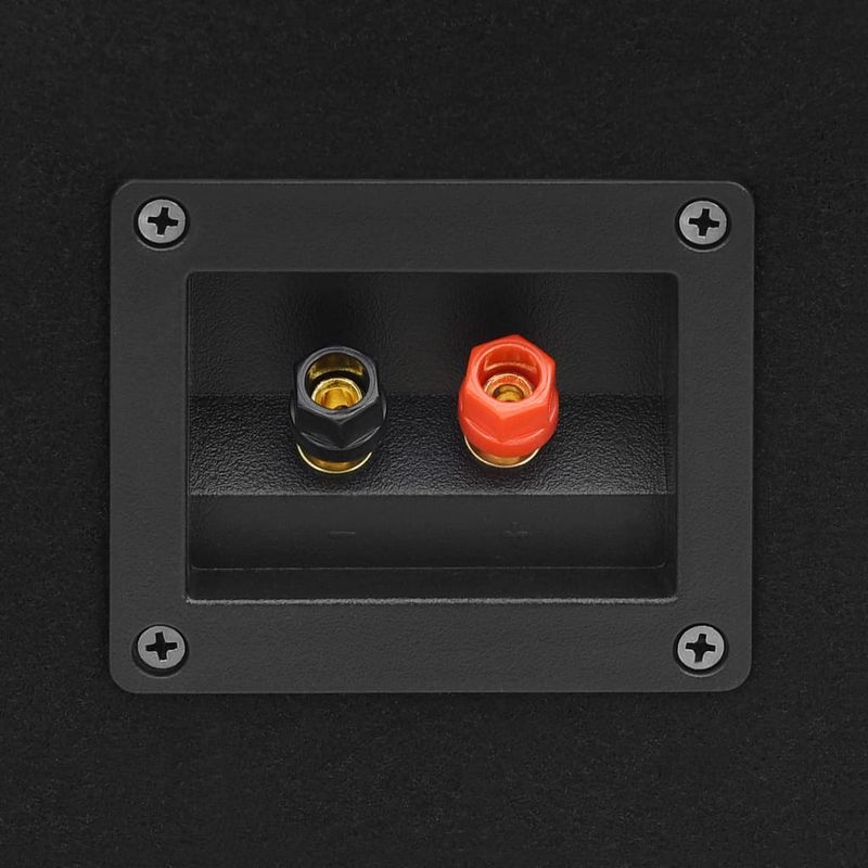 TV, Audio-Video si Foto - Audio Hi-Fi - Boxe si subwoofere - Boxe Hifi pasive de scena profesionale, 2 buc., negru, 1000 W - Infinity.ro