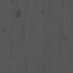 Casa si Gradina - Gradina si terasa - Mobilier exterior - Dulapuri si lazi depozitare exterior - Depozitare cos de gunoi, gri, 84x90x128,5 cm, lemn masiv de pin - Infinity.ro